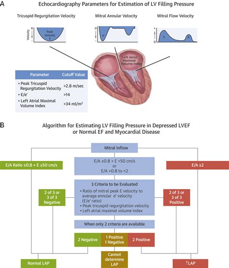 lv diastolic function|Lv diastolic function guidelines.